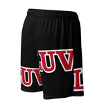 Load image into Gallery viewer, BLACK LUV Mesh unisex shorts

