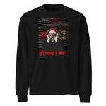 Load image into Gallery viewer, STREET ART Premium heavyweight long sleeve shirt
